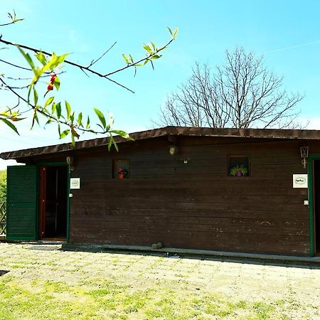 Villa Night In The Wood Sorbo Campagnano Di Roma Exterior foto