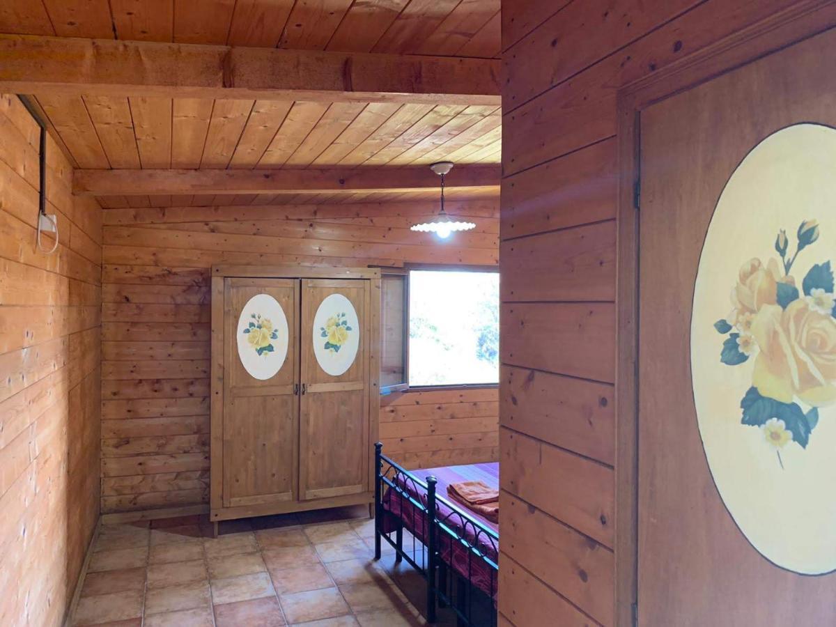 Villa Night In The Wood Sorbo Campagnano Di Roma Exterior foto