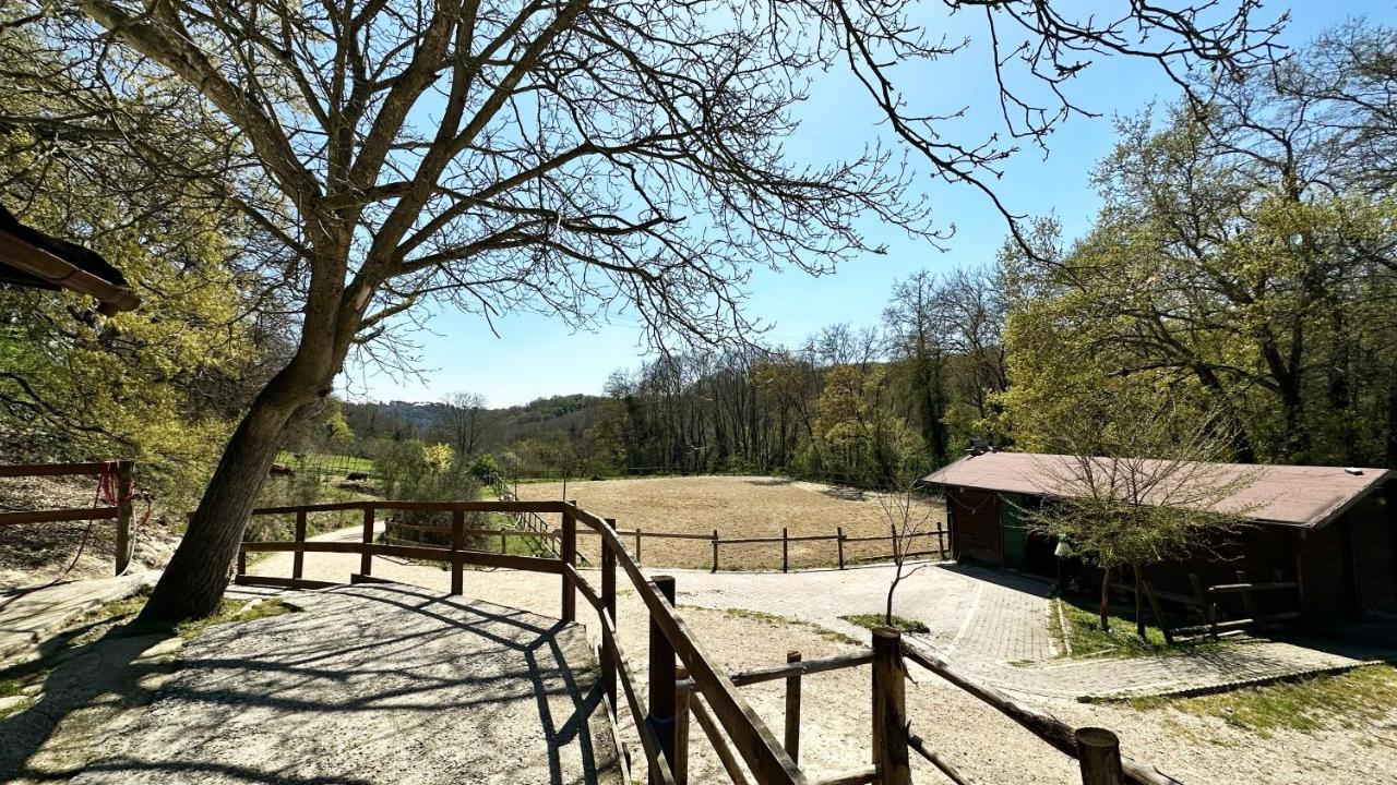 Villa Night In The Wood Sorbo Campagnano Di Roma Exterior foto