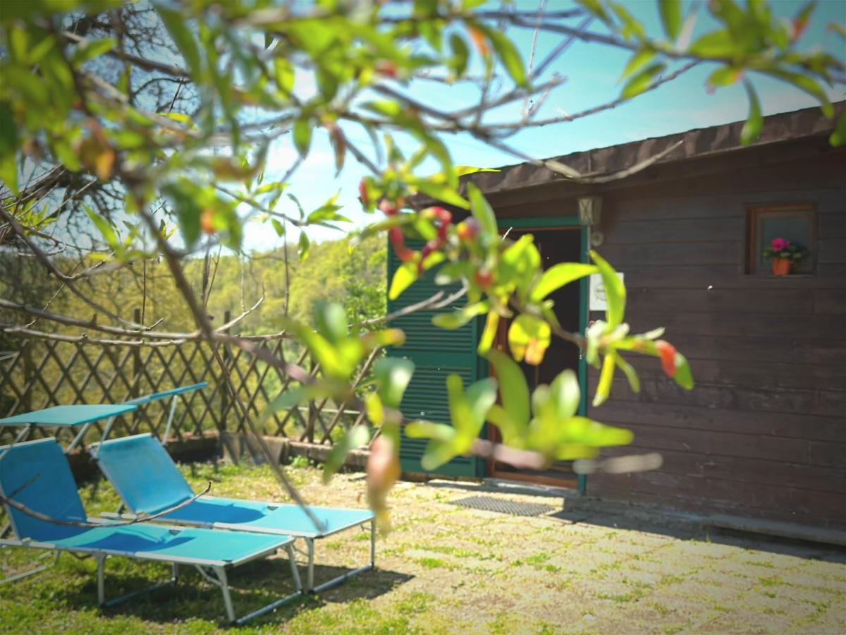 Villa Night In The Wood Sorbo Campagnano Di Roma Exterior foto