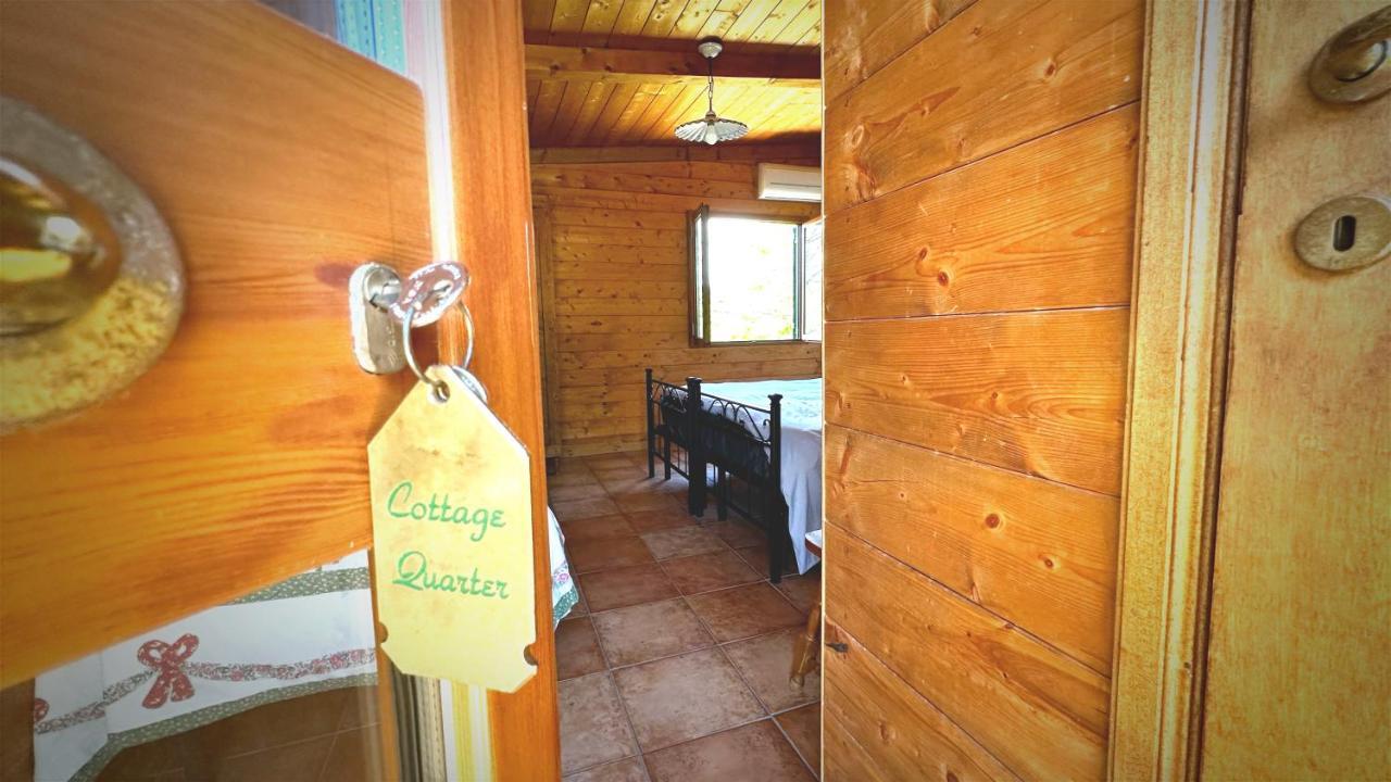 Villa Night In The Wood Sorbo Campagnano Di Roma Exterior foto